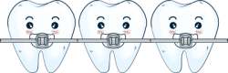 răng, tooth, dentist, teeth