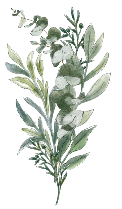 Hoa lá, flower, leaf, màu nước, watercolor, thiên nhiên, hoa cỏ