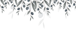 Hoa lá, flower, leaf, màu nước, watercolor, thiên nhiên, hoa cỏ