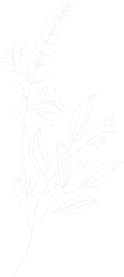 hoa, lá, flower, hoa lá, thiên nhiên, hoa nét, blue lines