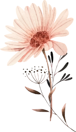 Hoa lá, flower, leaf, màu nước, watercolor, thiên nhiên, hoa cỏ