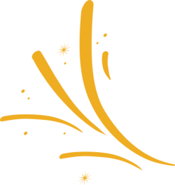 Shape, mảng, line, viền