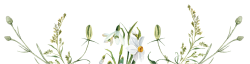 Hoa lá, flower, leaf, màu nước, watercolor, thiên nhiên, hoa cỏ