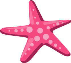 sao biển, starfish