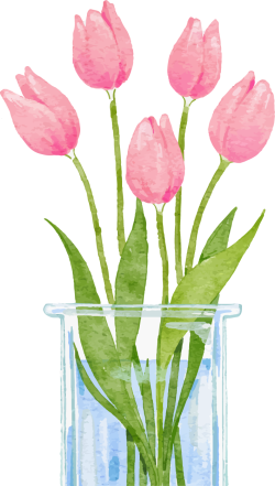 Hoa tulip, tulip, flower, màu nước, watercolor