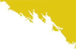 Shape, brush, mảng màu