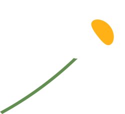 Hoa, hoa cúc, flower, dễ thương, cute