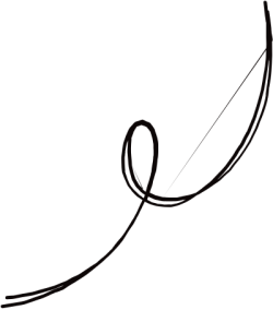 line, đường net