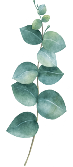 Hoa lá, flower, leaf, màu nước, watercolor, thiên nhiên, hoa cỏ