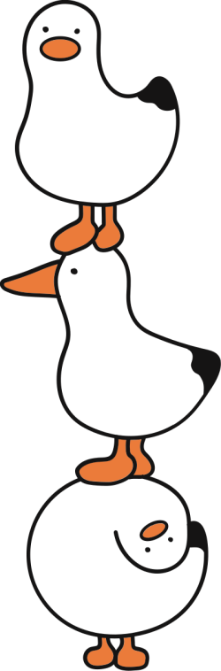 Duck, vịt