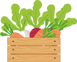 rau củ, vegetable