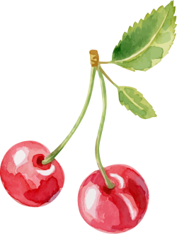 Cherry, watercolor, màu nước, anh đào