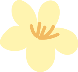Hoa, flower, hoa vàng