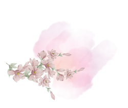 Hoa lá, flower, leaf, màu nước, watercolor, thiên nhiên, hoa cỏ