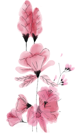 Hoa lá, flower, leaf, màu nước, watercolor, thiên nhiên, hoa cỏ