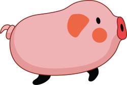 Tết, con heo, pig 1