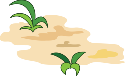 Cỏ, grass, cát, sand