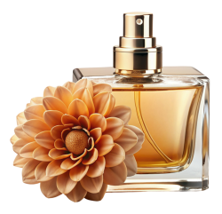 nước hoa, perfume