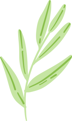 Lá, lá cây, leaf