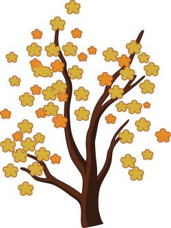 Hoa mai, hoa, flower