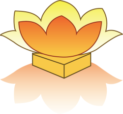 Lồng đèn, trung thu, mid autumn, hoa sen, lotus