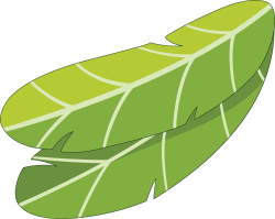 Tết, lá, leaf 1