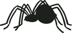 Halloween, nhện, mạng nhện, tơ nhện