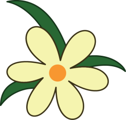 hoa, flower