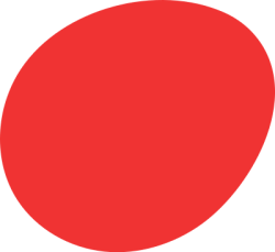 Shape, mảng, mảng màu, sale