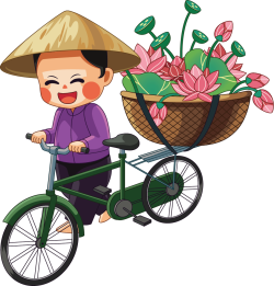 Bán hàng, nam, boy, con trai, sen, lotus