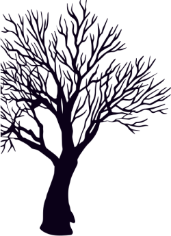 cây, tree