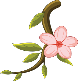 Tết, hoa đào, flowers 2