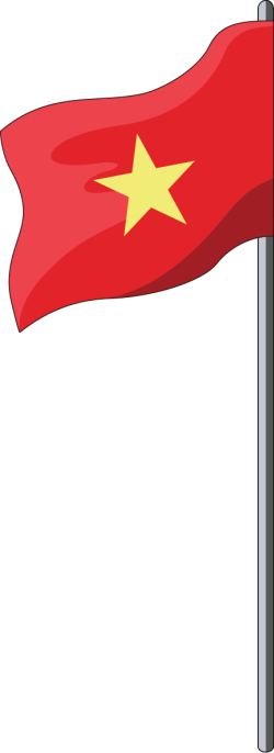 Chợ Tết, cờ, flag