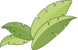 Lá chuối, chuối, banana