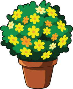 Chợ Tết, Hoa, flowers, 3