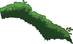 cỏ, lawn
