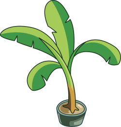 Cây, tree, chuối, banana
