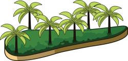 coconut tree, cây dừa