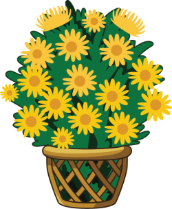 Chậu hoa, flower, hoa cúc