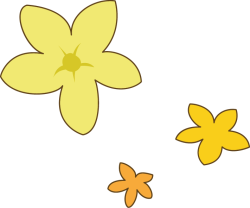Hoa, flower