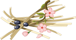 Tết, hoa đào, flowers, dây, string