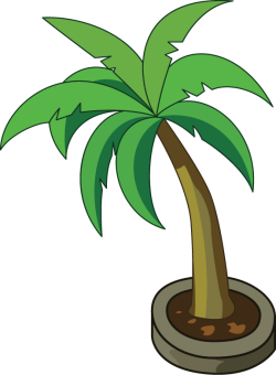 Tree, cây, cây dừa