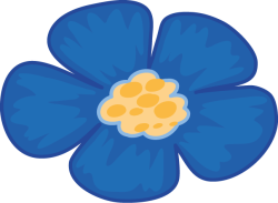 Hoa, flower