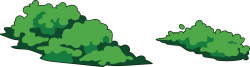 Tết,dân tộc, cỏ, lawn