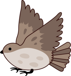 chim, bird