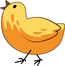 gà, chicken