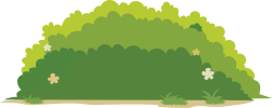 cỏ, lawn, grass