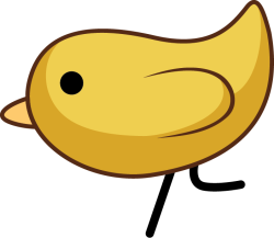 Tết, chim, bird