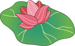 Sen, lá sen, lotus, hoa sen