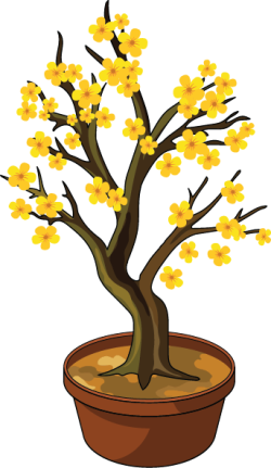 Chợ Tết, Hoa, flowers, 6